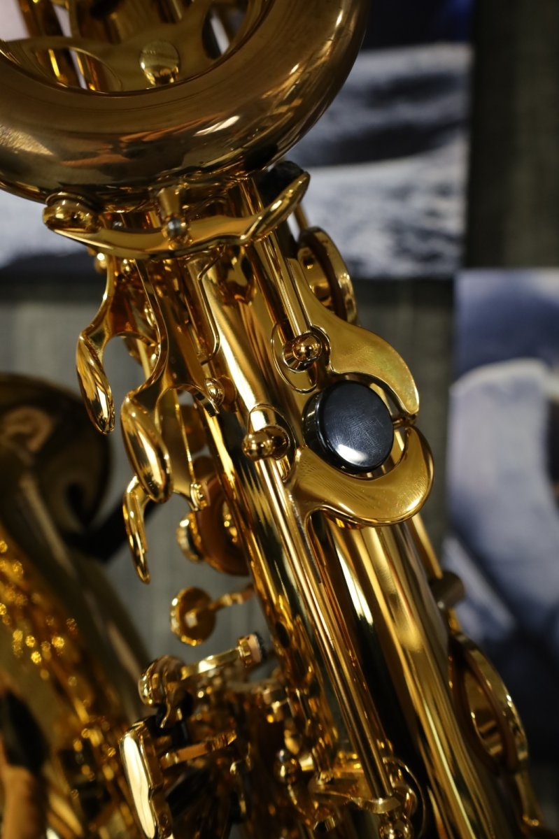 画像17: Selmer SerieII Baritone GL (17)
