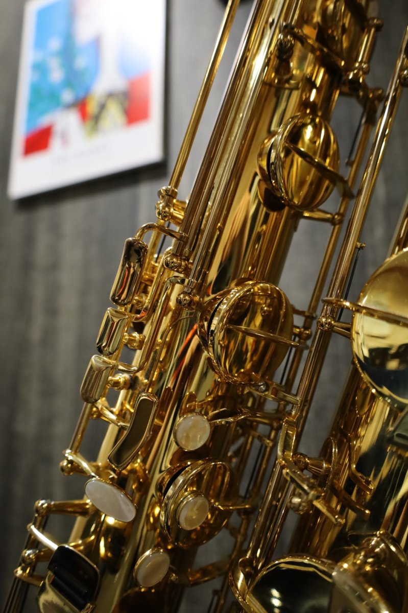 画像7: Selmer SerieII Baritone GL bagsケース付き (7)