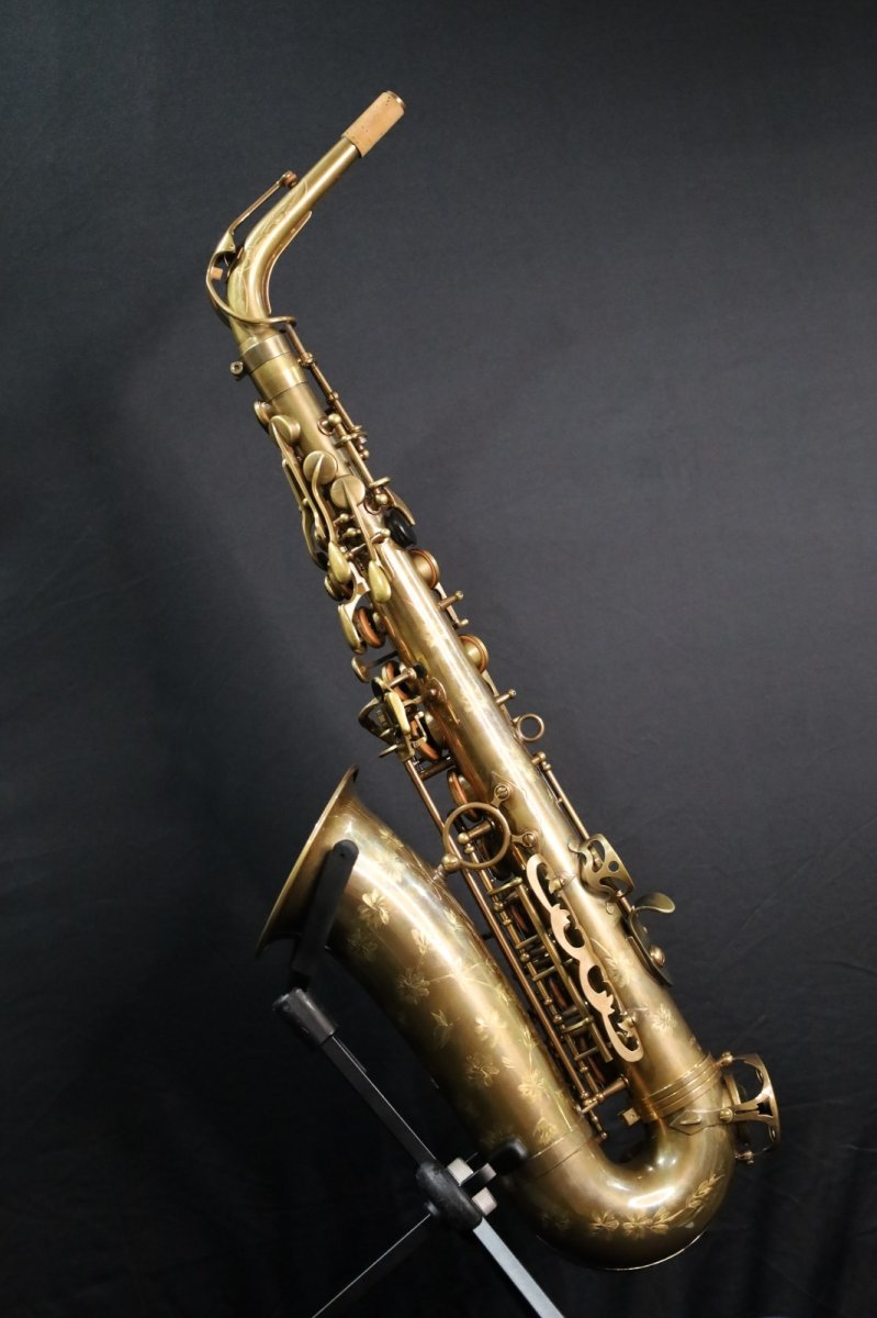 画像2: XYZ - Alto Pro Vintage model (2)