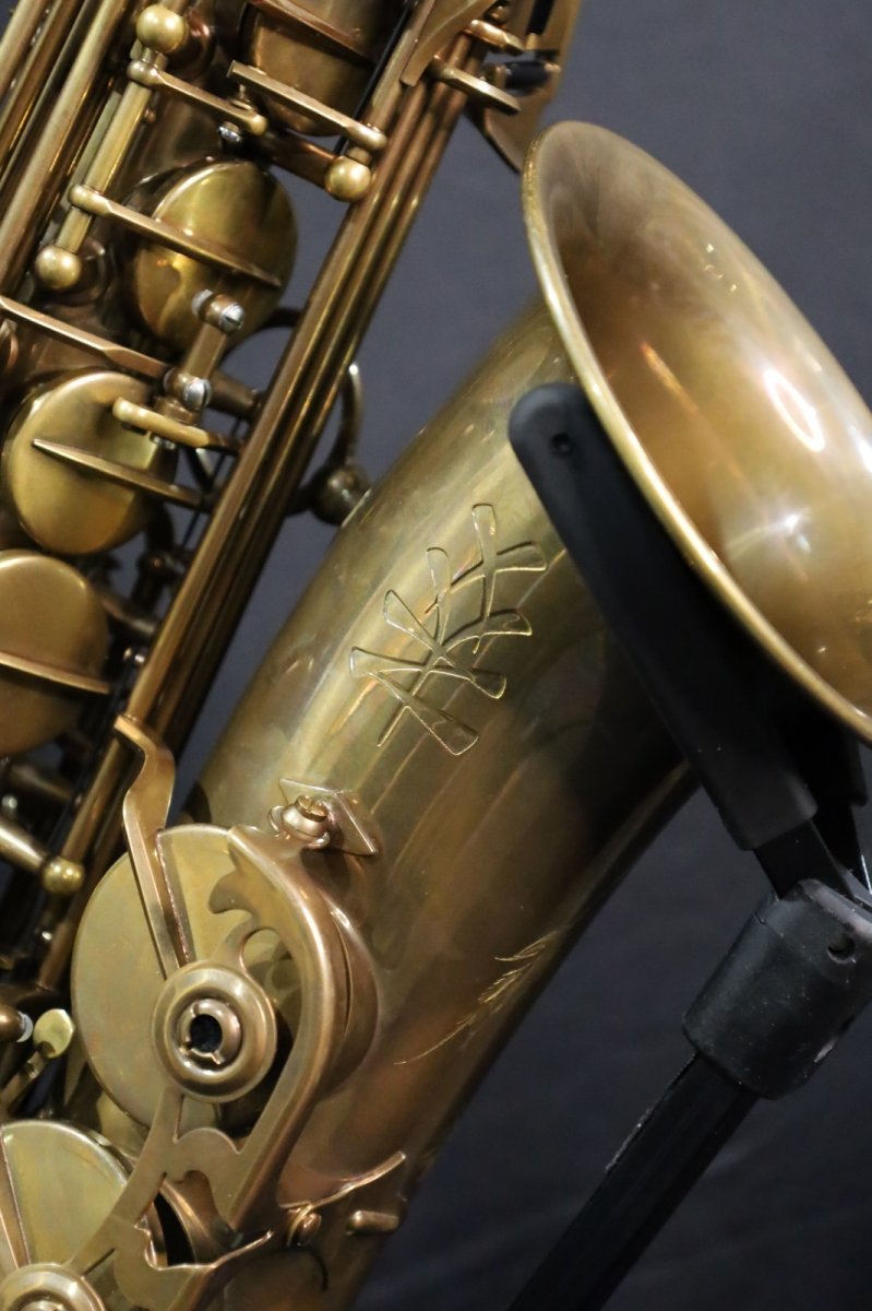 画像3: XYZ - Alto Pro Vintage model (3)