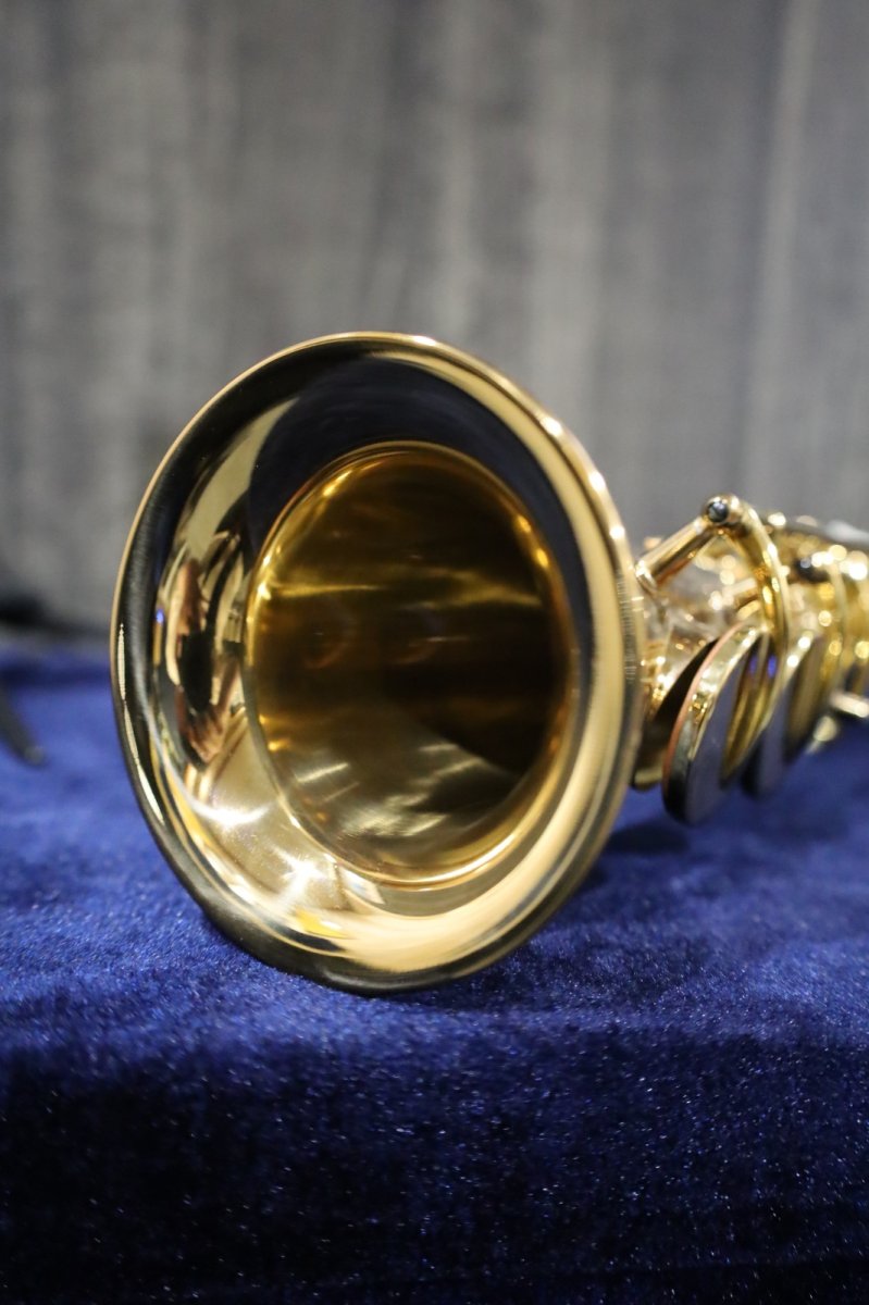 画像9: Antigua Sprano Sax Standard (9)