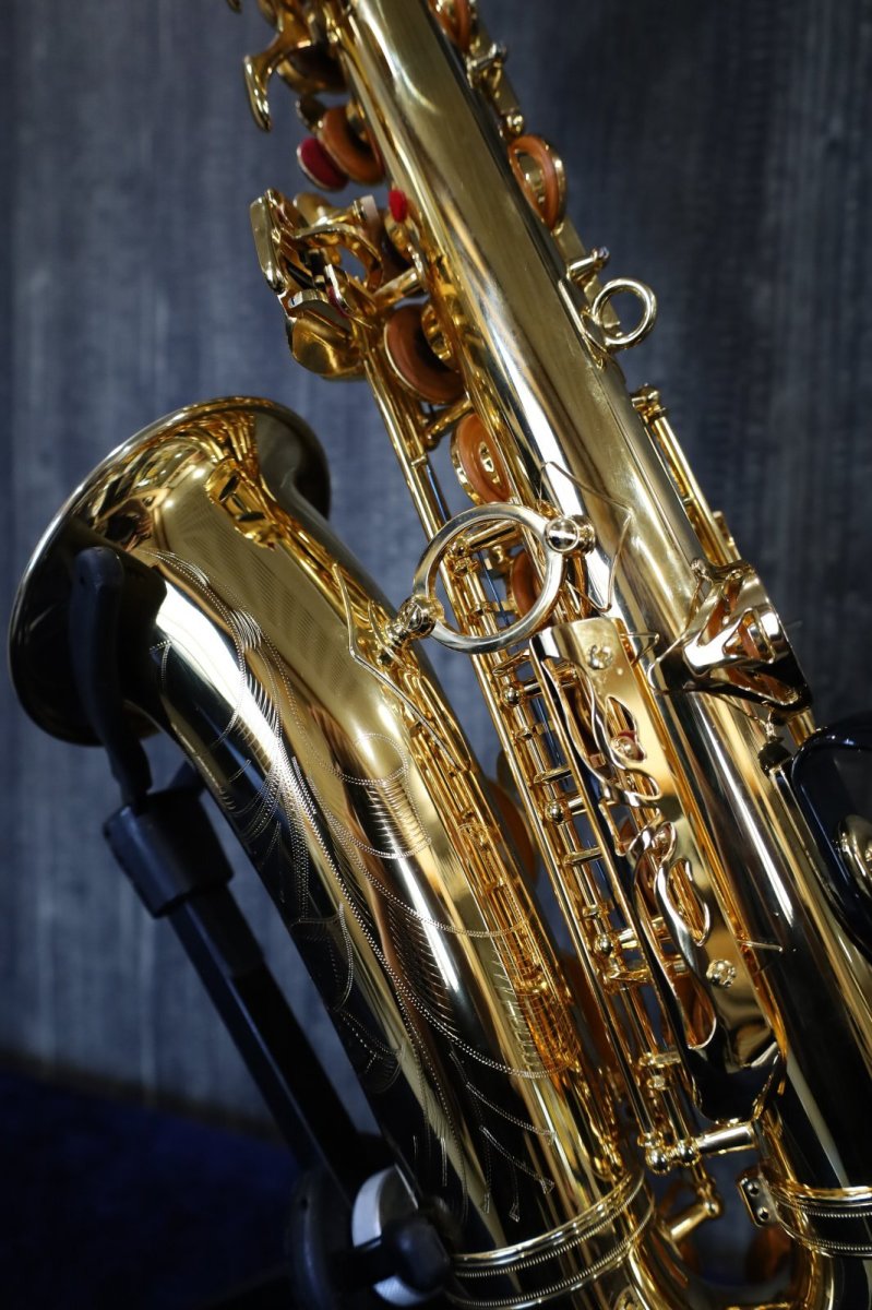 画像12: YAMAHA YAS-875EXS GP (12)