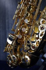 画像5: YAMAHA YAS-875EXS GP (5)