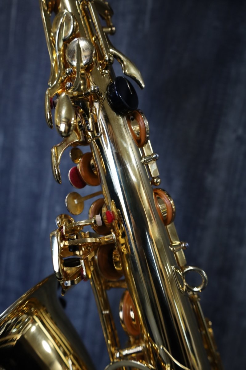 画像11: YAMAHA YAS-875EXS GP (11)