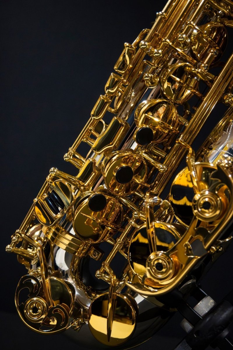 画像4: XYZ - Alto Pro Nickel sorderd (4)