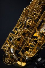画像4: XYZ - Alto Pro Nickel sorderd (4)