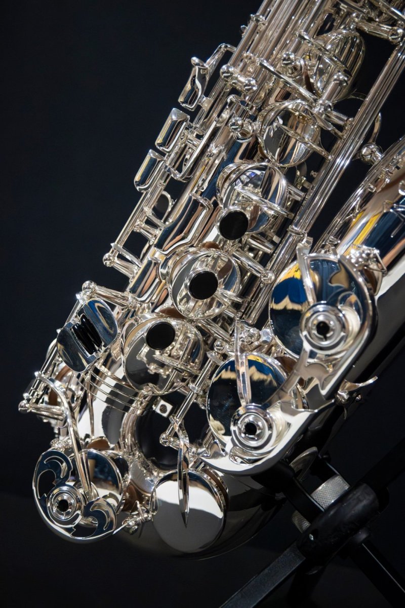 画像4: XYZ - Alto Pro Nickel SP (4)