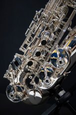 画像4: XYZ - Alto Pro Nickel SP (4)