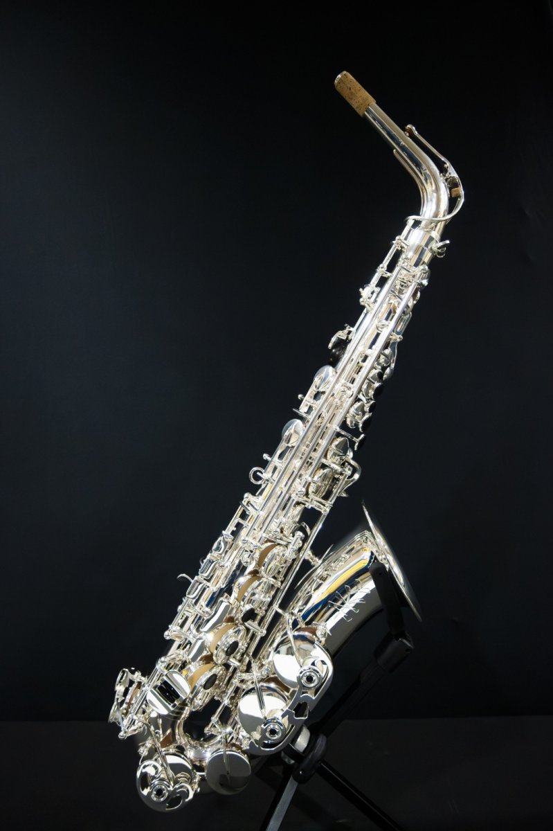 画像1: XYZ - Alto Pro Nickel SP (1)