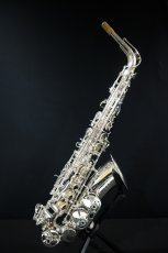 画像1: XYZ - Alto Pro Nickel SP (1)