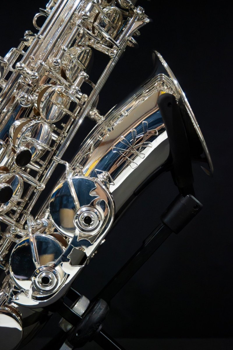 画像3: XYZ - Alto Pro Nickel SP (3)