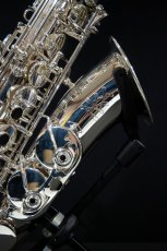 画像3: XYZ - Alto Pro Nickel SP (3)
