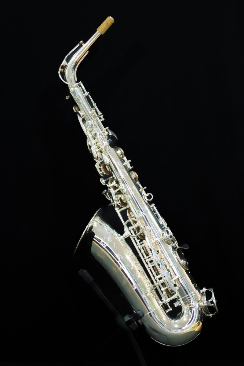 画像2: XYZ - Alto Pro Nickel SP (2)