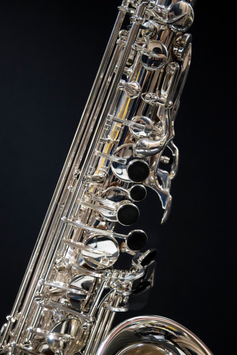 画像5: XYZ - Alto Pro Nickel SP (5)