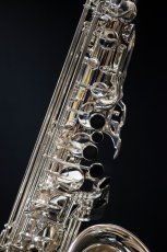 画像5: XYZ - Alto Pro Nickel SP (5)