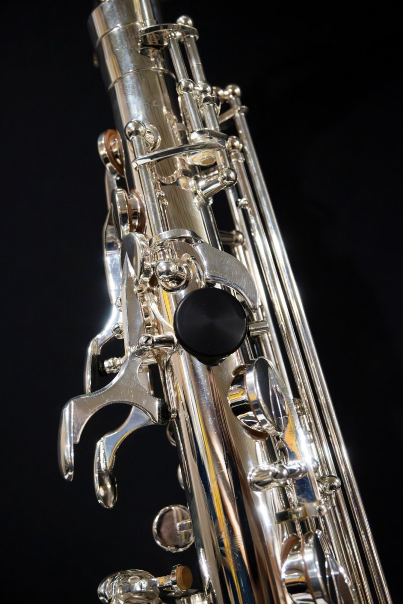 画像7: XYZ - Alto Pro Nickel SP (7)