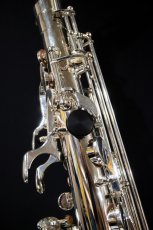 画像7: XYZ - Alto Pro Nickel SP (7)