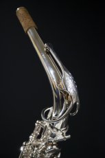 画像6: XYZ - Alto Pro Nickel SP (6)