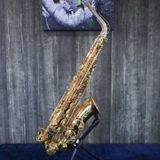 画像3: Selmer SERIE III Alto 特別仕様 (3)