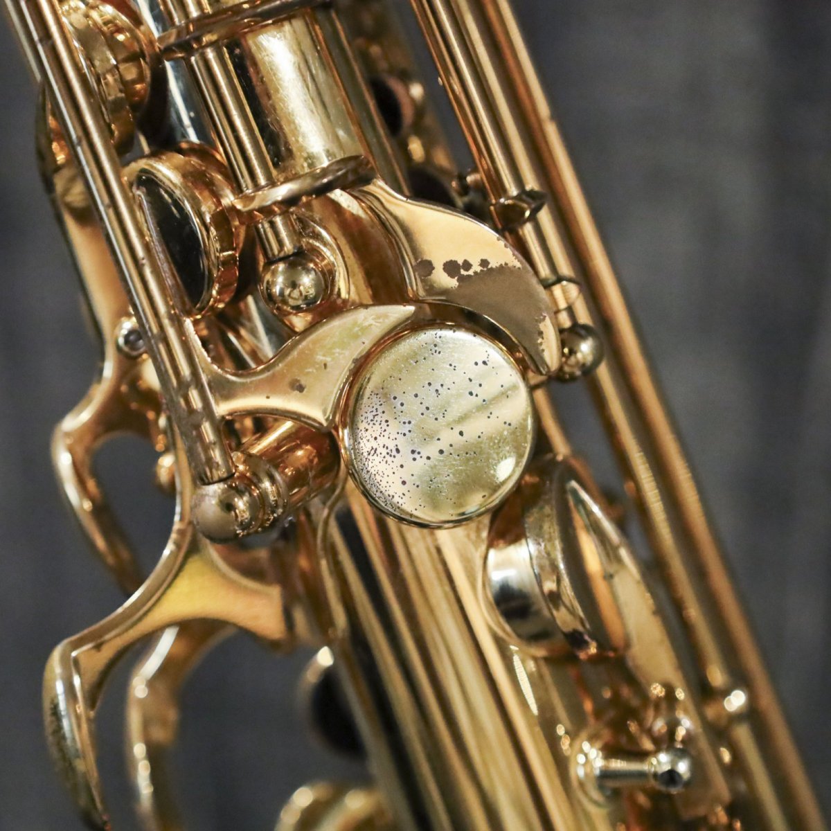 画像7: Selmer SERIE III Alto 特別仕様 (7)