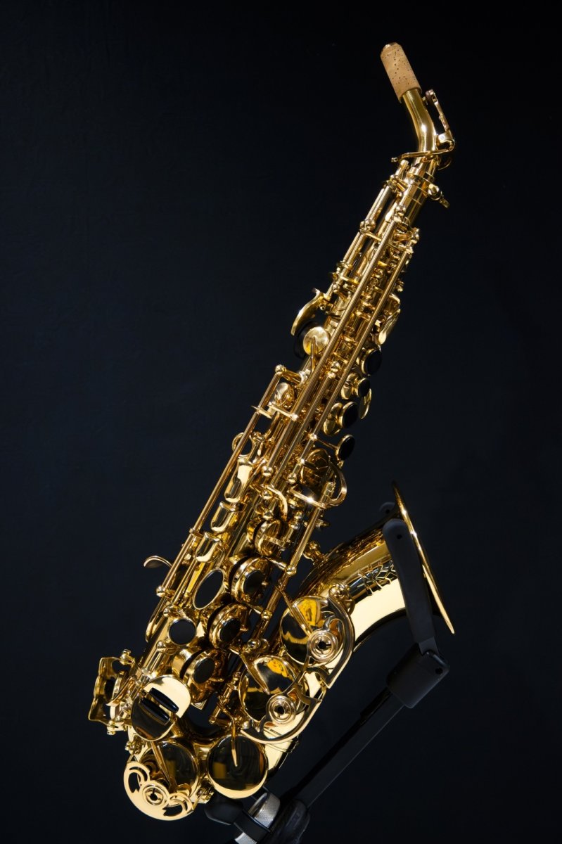 画像1: XYZ - Soprano Curved Pro (1)