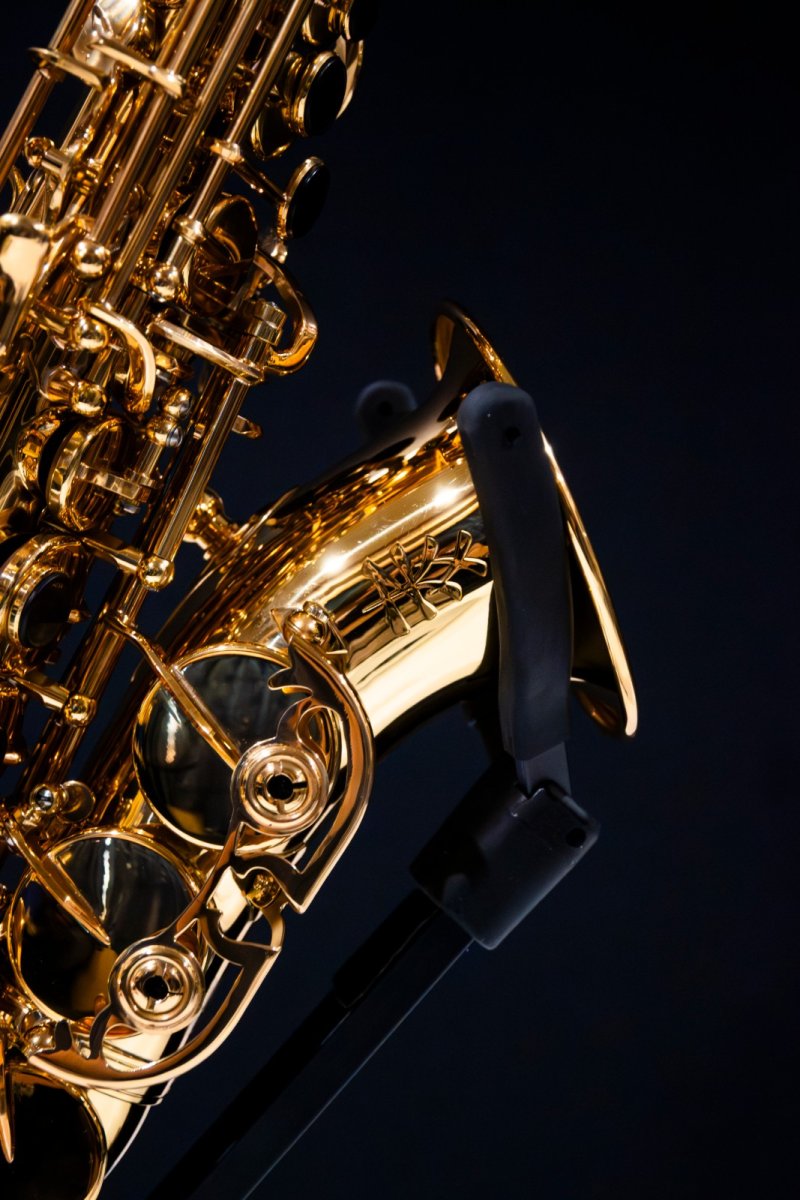 画像3: XYZ - Soprano Curved Pro (3)
