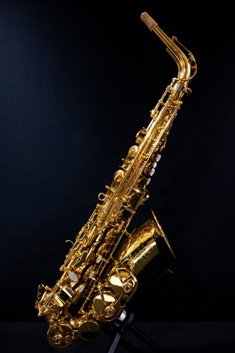 画像1: XYZ - Alto Accent (1)