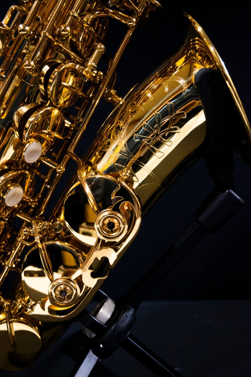 画像3: XYZ - Alto Accent (3)
