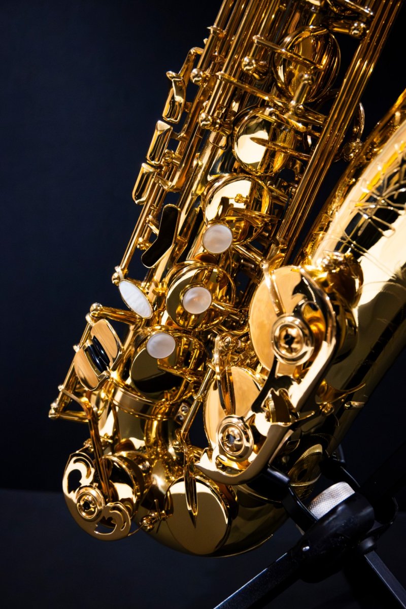 画像5: XYZ - Alto Accent (5)