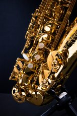 画像5: XYZ - Alto Accent (5)