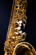 画像4: XYZ - Alto Accent (4)