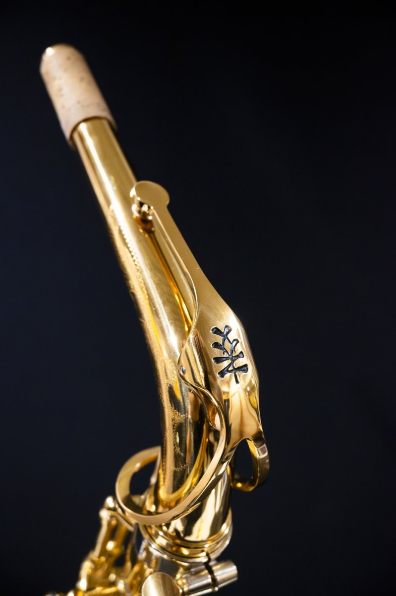 画像6: XYZ - Alto Accent (6)