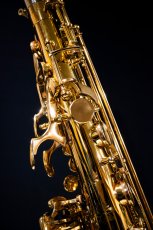 画像8: XYZ - Alto Accent (8)