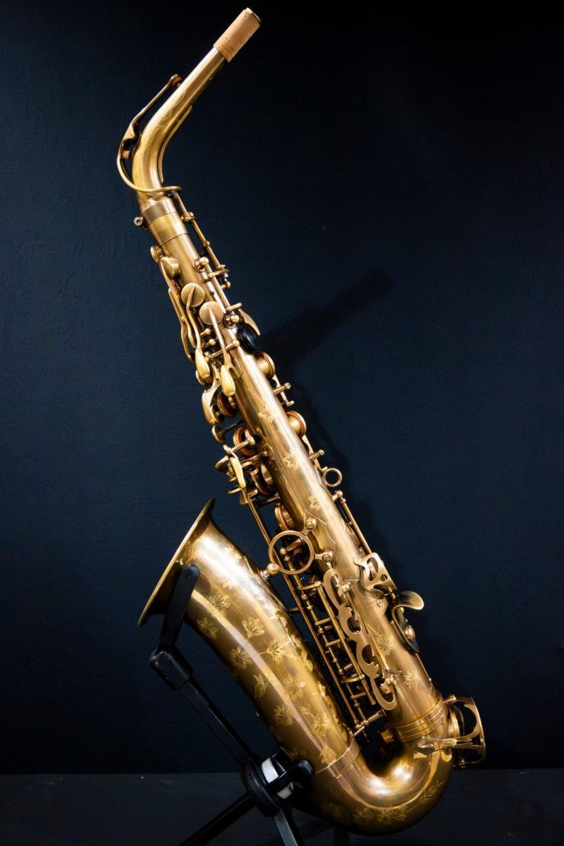 画像2: XYZ - Alto Pro Vintage model (2)
