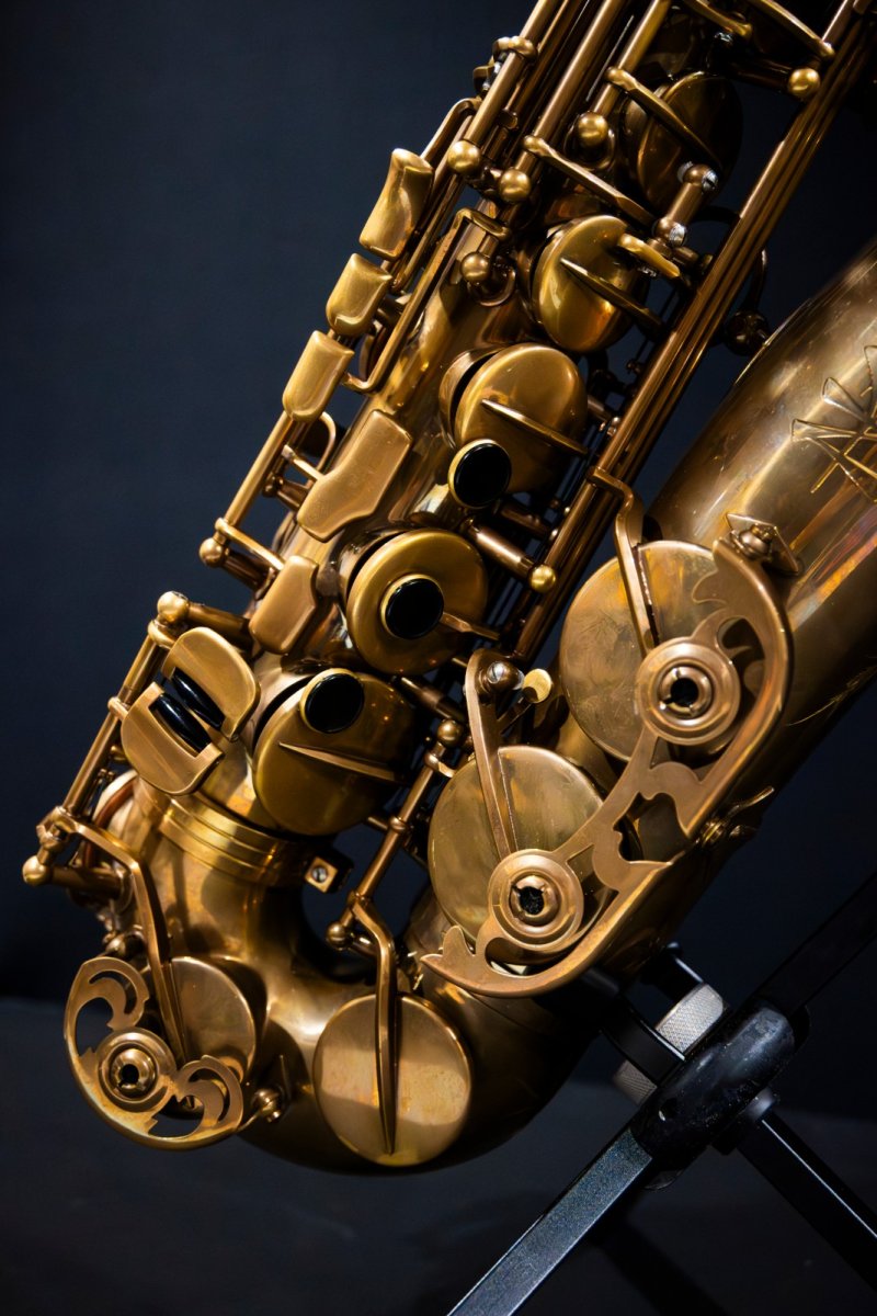 画像4: XYZ - Alto Pro Vintage model (4)