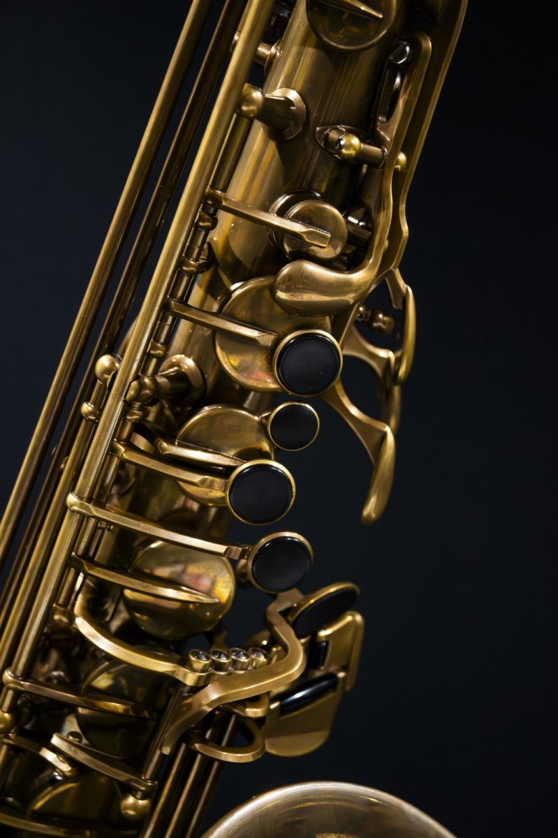画像5: XYZ - Alto Pro Vintage model (5)