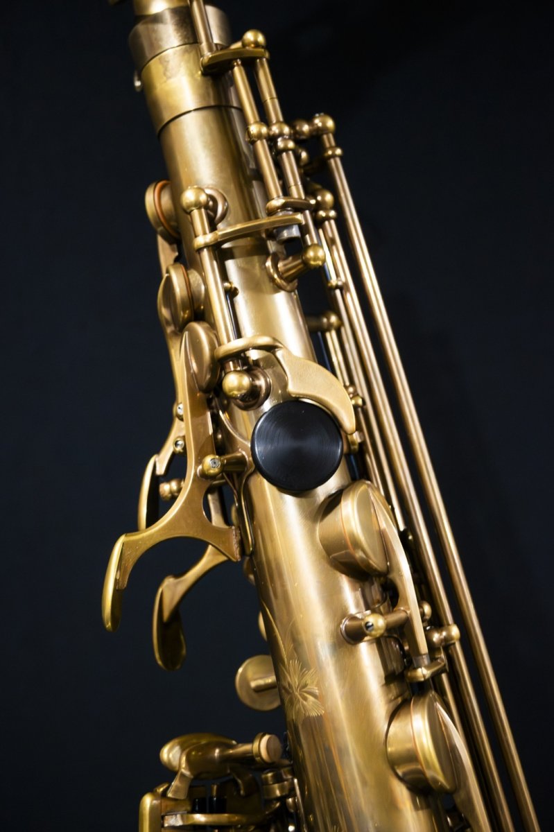 画像7: XYZ - Alto Pro Vintage model (7)