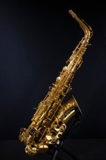 画像1: XYZ - Alto Artist (1)