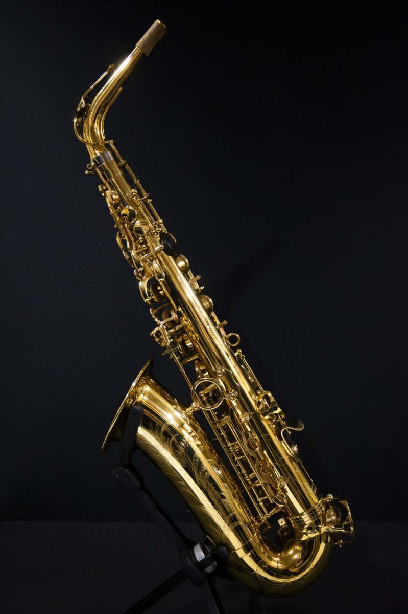 画像2: XYZ - Alto Artist (2)