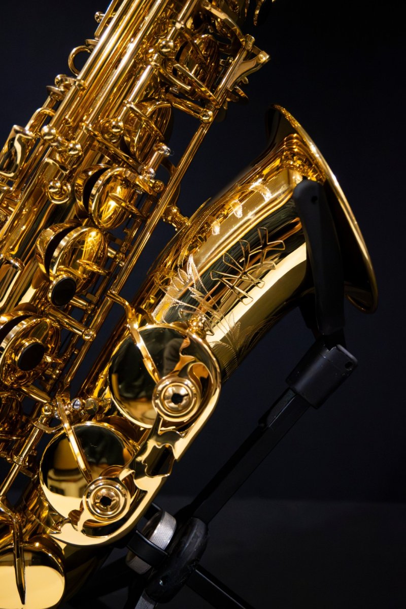 画像3: XYZ - Alto Artist (3)