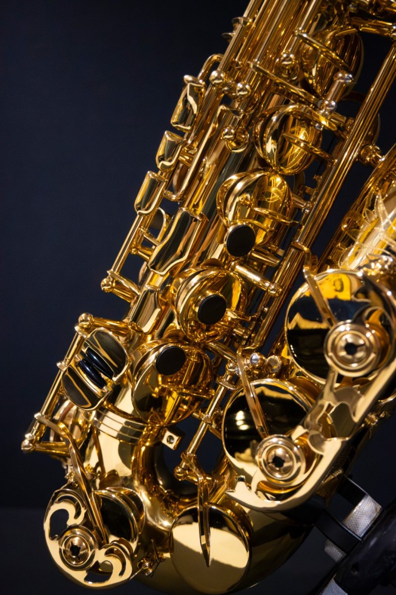 画像4: XYZ - Alto Artist (4)