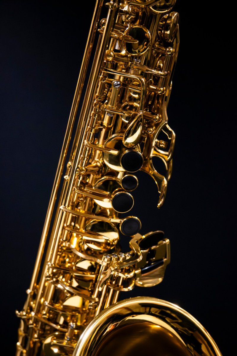 画像5: XYZ - Alto Artist (5)