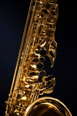 画像5: XYZ - Alto Artist (5)
