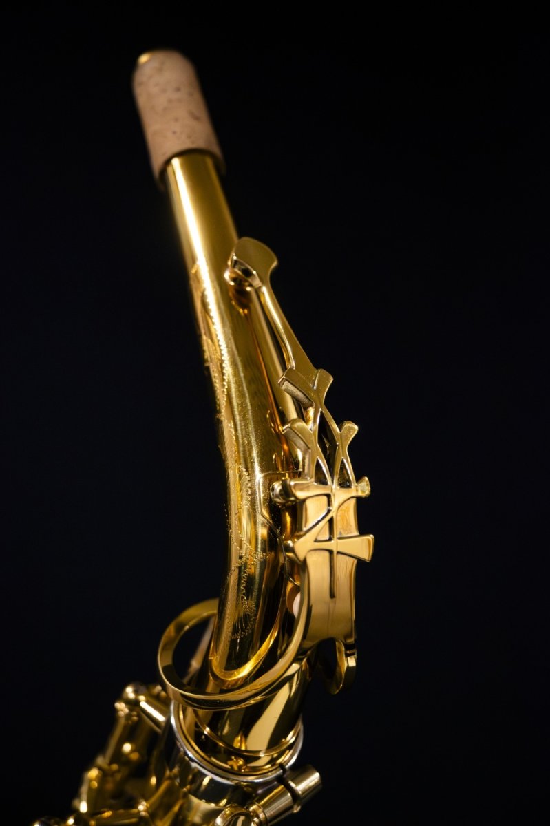 画像7: XYZ - Alto Artist (7)