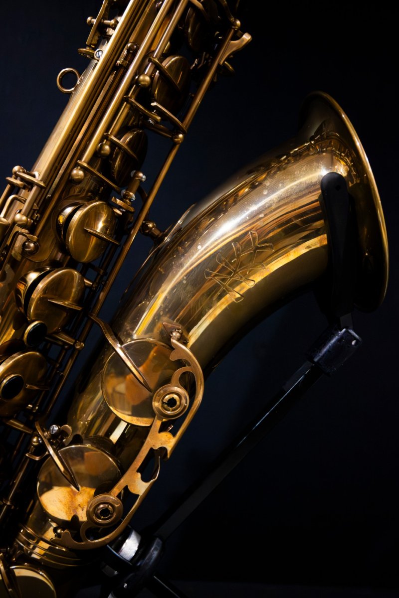 画像3: XYZ - Tenor Pro Vintage model (3)
