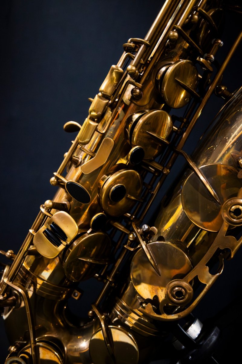 画像5: XYZ - Tenor Pro Vintage model (5)
