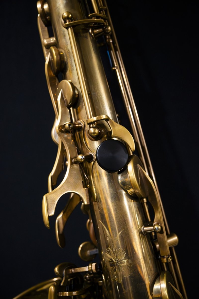 画像7: XYZ - Tenor Pro Vintage model (7)