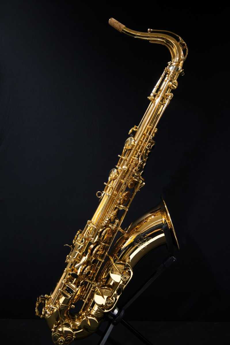 画像1: XYZ - Tenor Pro (1)