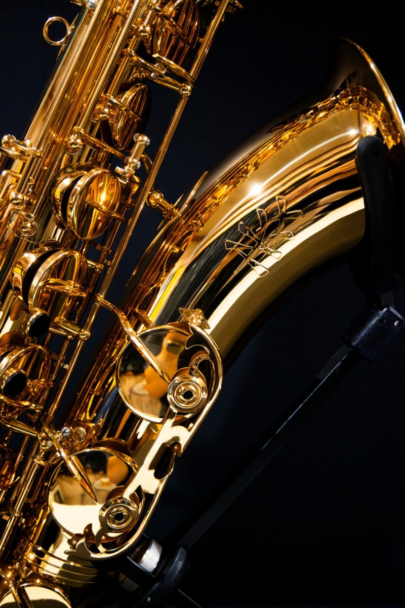 画像3: XYZ - Tenor Pro (3)