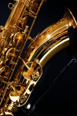 画像3: XYZ - Tenor Pro (3)